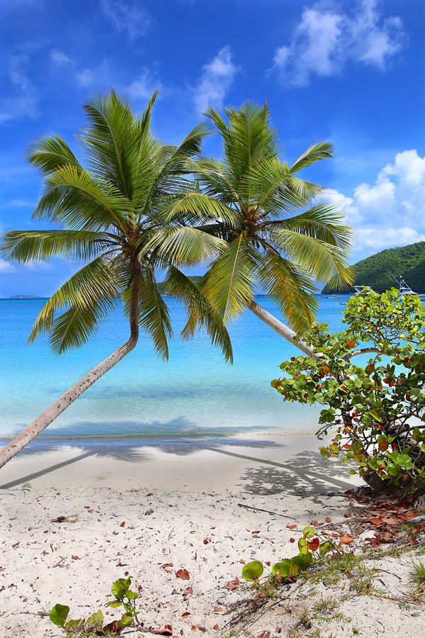 Maho Bay Twin Palms, St John USVI